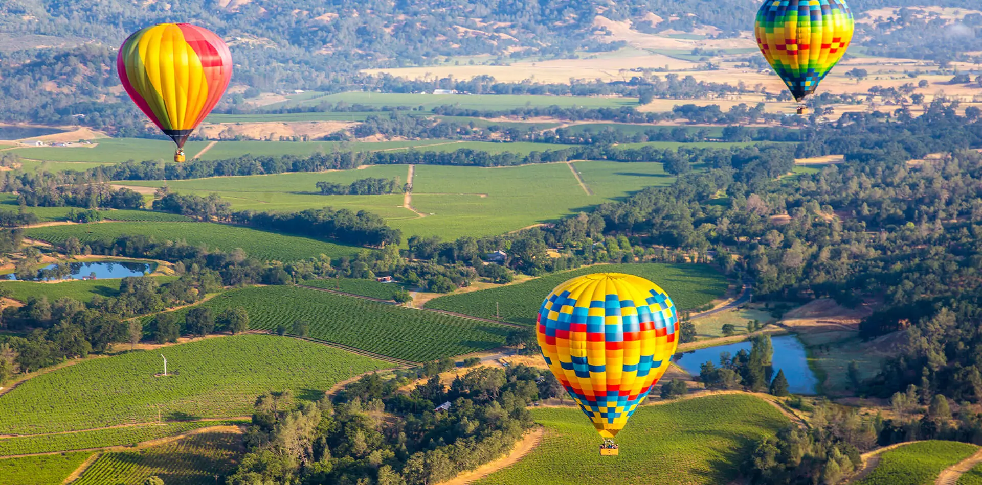 Balloons floating above Napa Valley