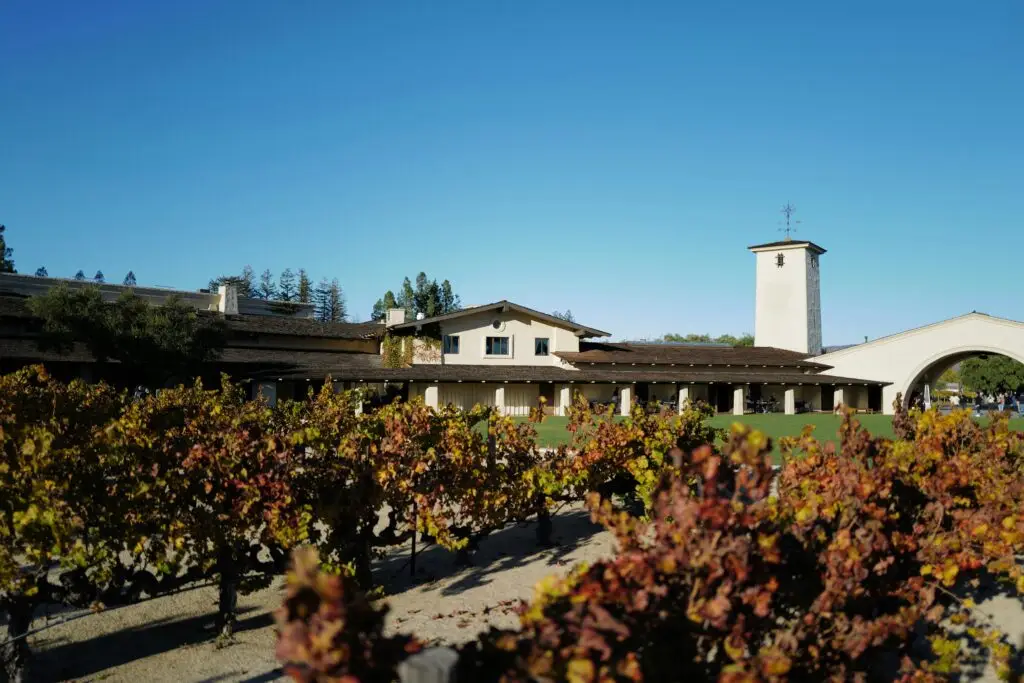 Vineyard for weddings in napa county